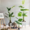 Planta Artificiala Palm Sunflower, 180 cm, Pentru Interior, Homedit Planta Artificiala Palm Sunflower, 180 cm, Pentru Interior, Homedit
