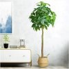 Copac Artificial Wealth Tree, 160 cm, Pentru Interior, Homedit