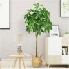 Copac Artificial Wealth Tree, 160 cm, Pentru Interior, Homedit