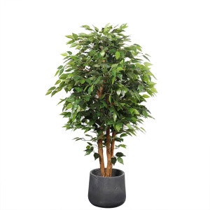 Copac Artificial Banyan Tree A, 210 cm, Pentru Interior, Homedit