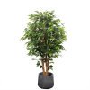 Copac Artificial Banyan Tree A, 180 cm, Pentru Interior, Homedit