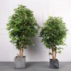 Copac Artificial Banyan Tree A, 150 cm, Pentru Interior, Homedit Copac Artificial Banyan Tree A, 150 cm, Pentru Interior, Homedit