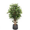 Copac Artificial Banyan Tree A, 150 cm, Pentru Interior, Homedit Copac Artificial Banyan Tree A, 150 cm, Pentru Interior, Homedit