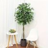 Arbore artificial Banyan Tree B 120 cm, Homedit Arbore artificial Banyan Tree B 120 cm, Homedit