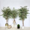 Arbore artificial Banyan Tree C, 210 cm, Homedit Arbore artificial Banyan Tree C, 210 cm, Homedit