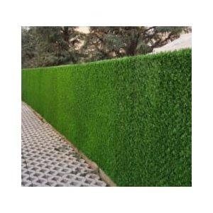 Plasa paravan verde, gard verde decorativ, paravan gard 1m x 3m, Homedit