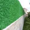 Plasa paravan verde, gard verde decorativ, paravan gard 1m x 3m, Homedit