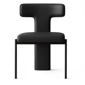 scaun torsia, lemn de frasin si pele, homedit