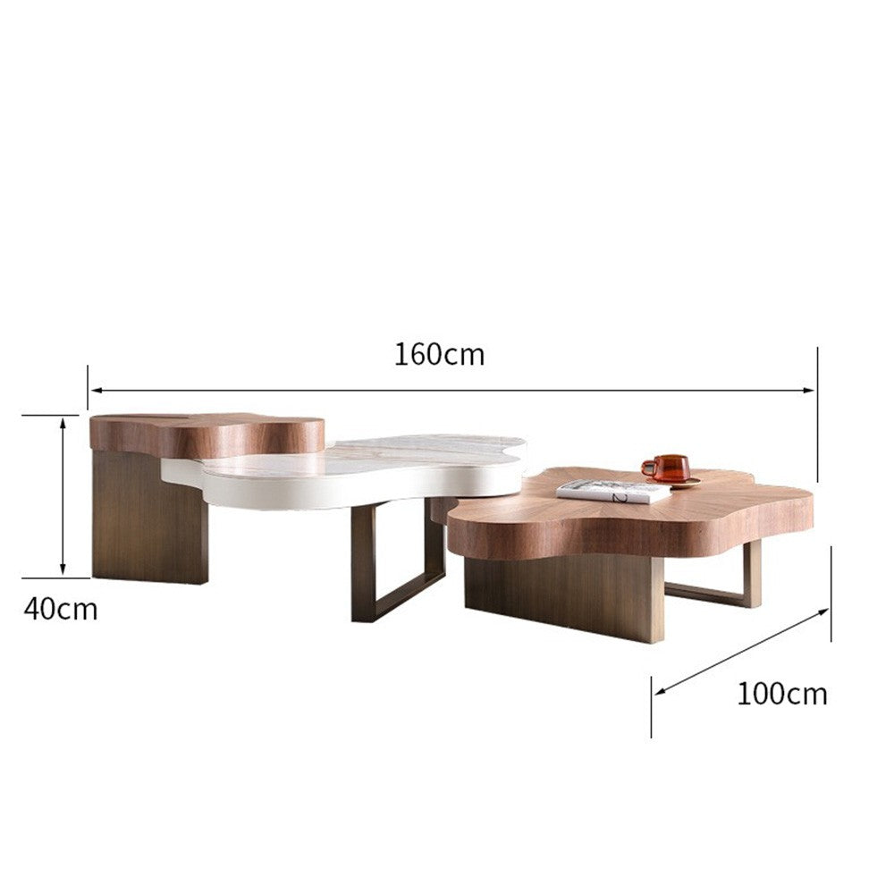 Masa cafea living premium, 160 x 100 x 40 cm Flow, Homedit - Image 9