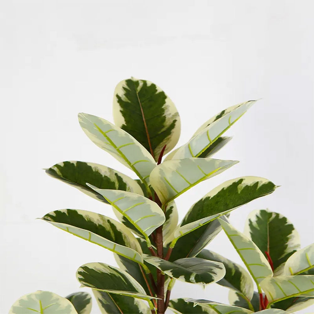 Planta Artificiala Banyan A, 150 cm, Pentru Interior, Homedit - Image 5