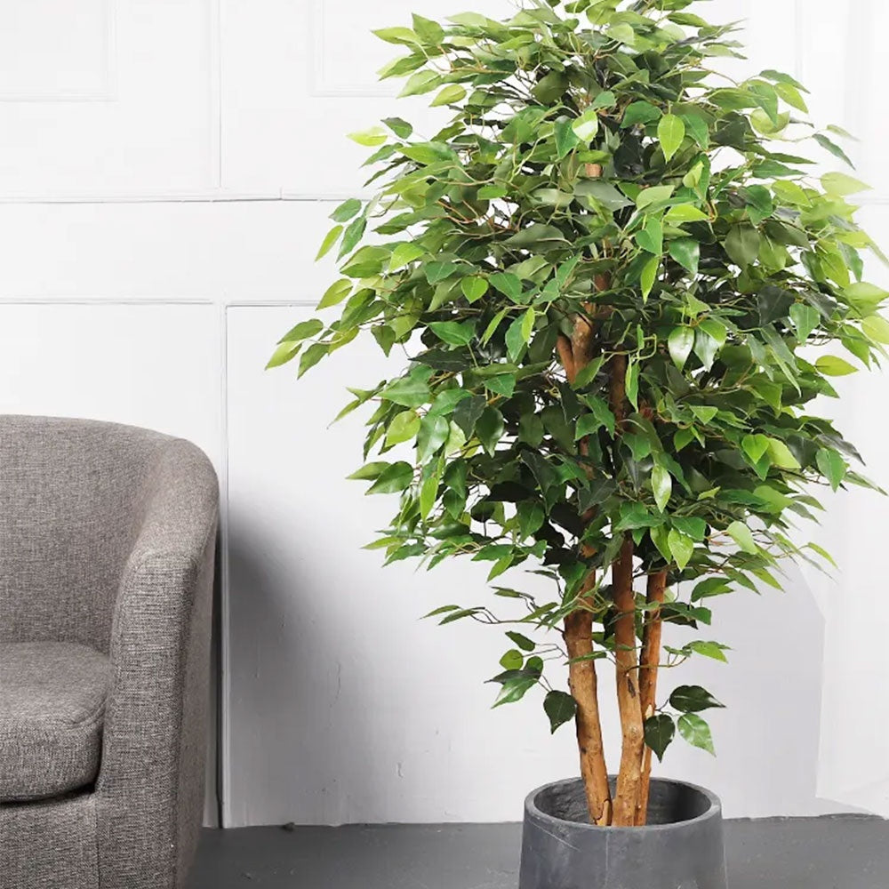 Copac Artificial Banyan Tree A, 210 cm, Pentru Interior, Homedit - Image 3