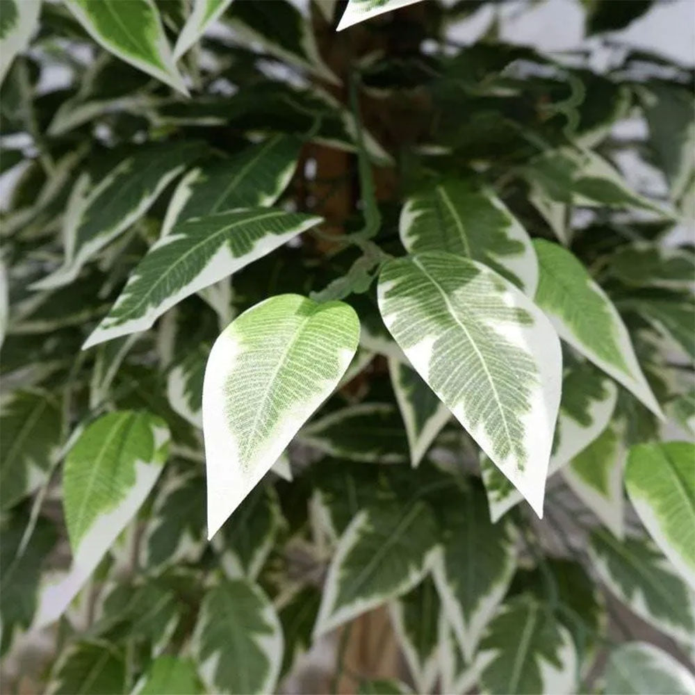 Arbore artificial Banyan Tree C, 120 cm, Homedit - Image 6