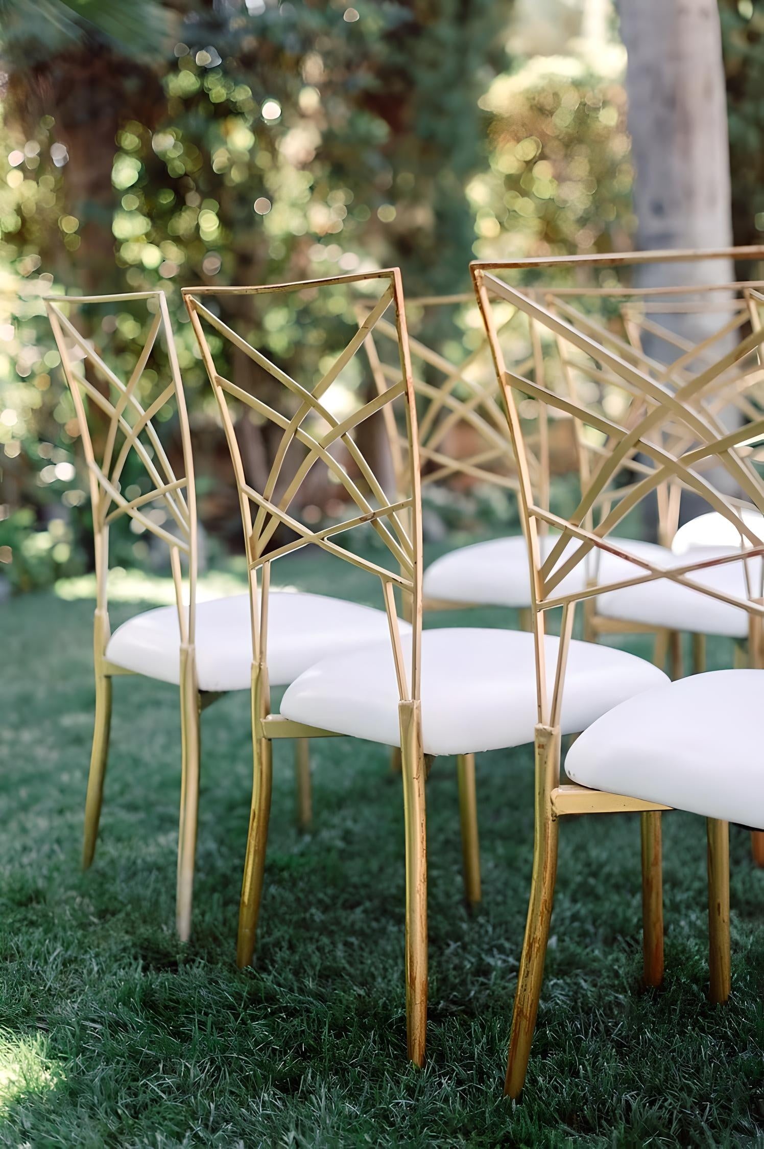 scaun premium pure gold, scaun premium homedit - Image 3